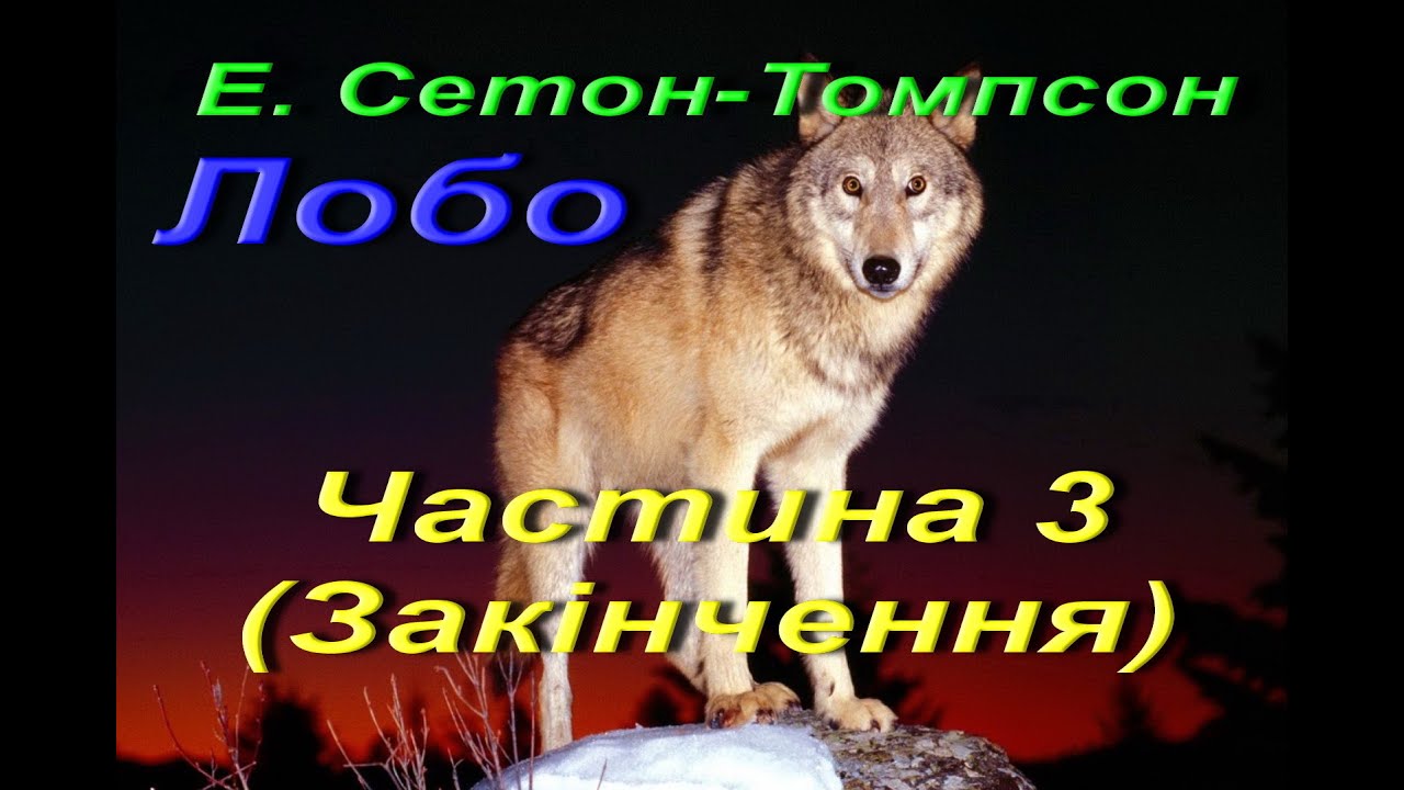Ернест Томпсон Сетон. Лобо. Частина 3 (Закінчення). - YouTube