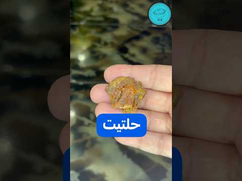 الحلتيت والمطبخ الهندي نهى صفوت عطا