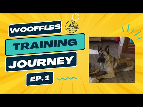Wooffles  Episode 1 video thumbnail