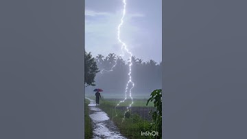 Thumbnail of Nature Beauty in a Rainy Day