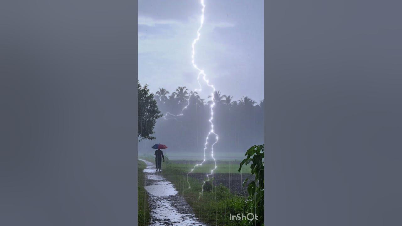 Nature Beauty in a Rainy Day