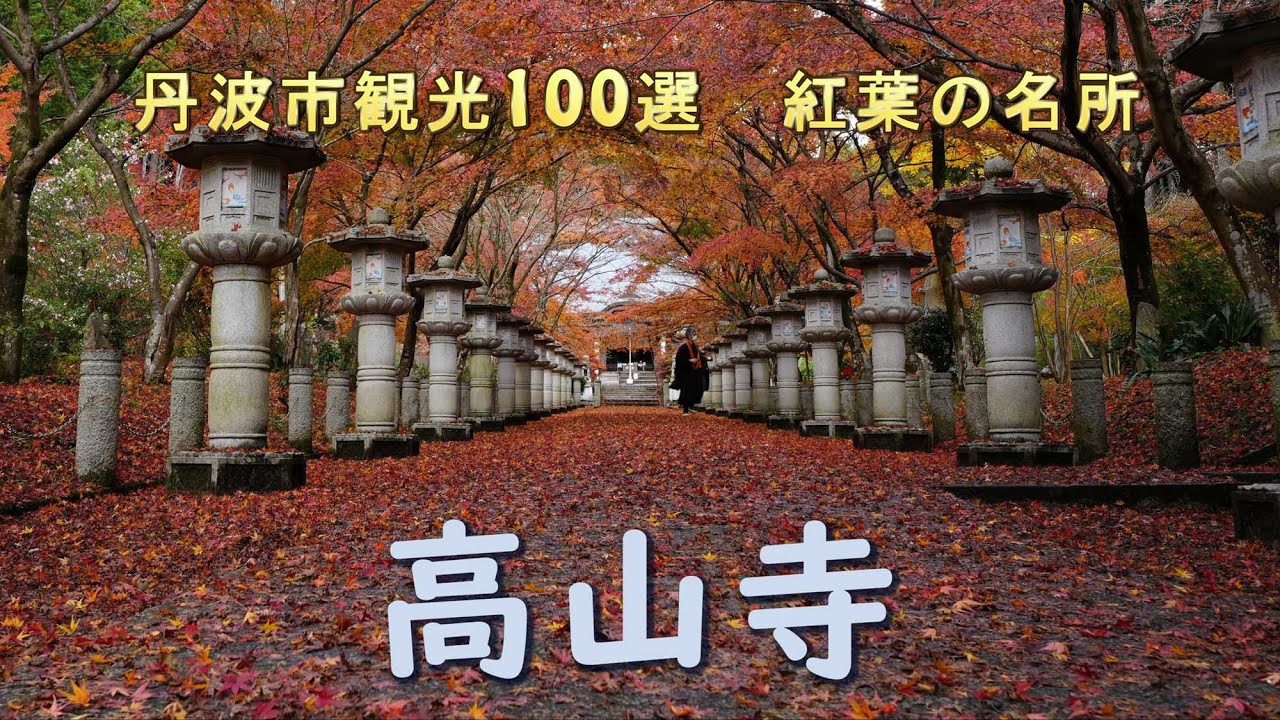 高山寺 は丹波市氷上町 天から紅葉が舞い散り 灯篭の長い道のりを彩る Youtube