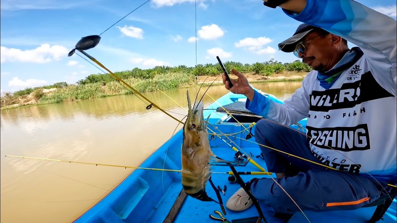 Padu 🔥 Mancing Udang Galah & Hasil Menjaring Di Sungai Muda Mantap s461
