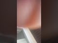 Bathing Like A Ape - Runnitup Choppo
