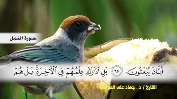 سورة النمل من ( ايه 56 ) الى ( ايه 81 ) بصوت القارئ د.جهاد المومني