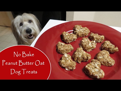 no-bake-peanut-butter-oat-dog-treats---cupcakes-&-pupcakes