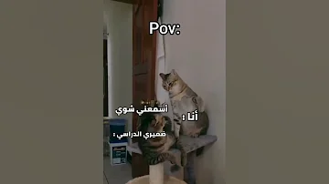 طلاب 2009 بس شافوا علامات 2007 