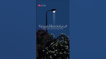 تلاوة خاشعة للشيخ ياسر الدوسري 🎧❤️‍🩹 #اكسبلور #أرح_سمعك_وقلبك #طمئن_قلبك #ياسر_الدوسري