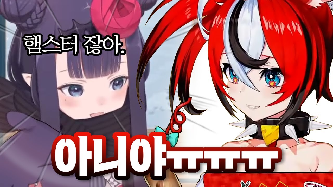 우리가 잊을만 하면 햄스터로 고통받는 땃쥐 ㅋㅋㅋㅋ [홀로라이브/하코즈 벨즈]