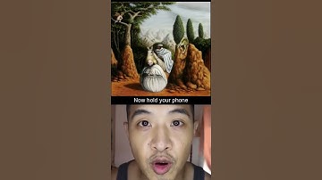 180. Brain Teaser- Double Image @teddywang86 #teddywang86 #meme #memes #NFT #nfts