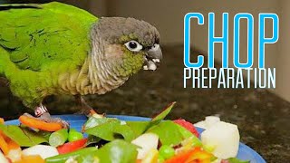 PREPARING CHOP FOR THE BIRDS (FRUIT & VEG) by Aaron Lewis 275 views 2 years ago 2 minutes, 33 seconds