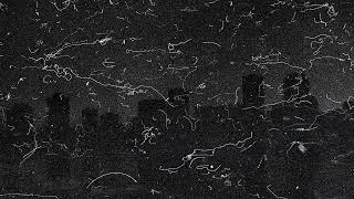 testing out 3200 iso b&w flim