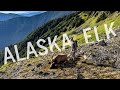 Alaska Elk: An Elk101 Film Premiere