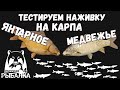 Ловим карпа на озере медвежьем и озере янтарном. Тестируем наживки. Русская рыбалка 4.