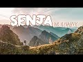 Senja's MOST BEAUTIFUL hike | Husfjellet Norway