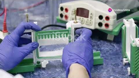 Mastering Analytical Methods: A Quick Guide