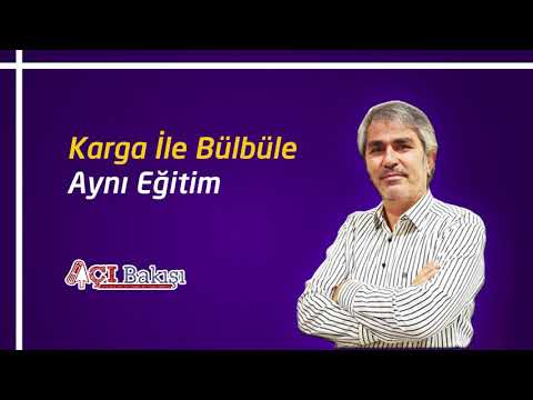 Karga ile Bülbüle Aynı Eğitim #eğitim #gündem