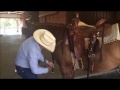 Dennis Moreland Tack: How to Put a Running Martingale on a Horse