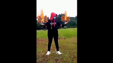 Short thriller "FANTASTIC BEASTS SPELL EFFECT AND DISINTEGRATION EFFECT"