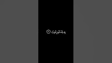کرومات قرانـ ـ قران شاشة سوداء ـ سورة هود - سلمان العتيبى