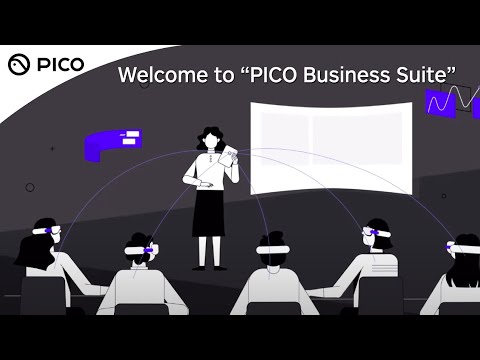 PICO XR |