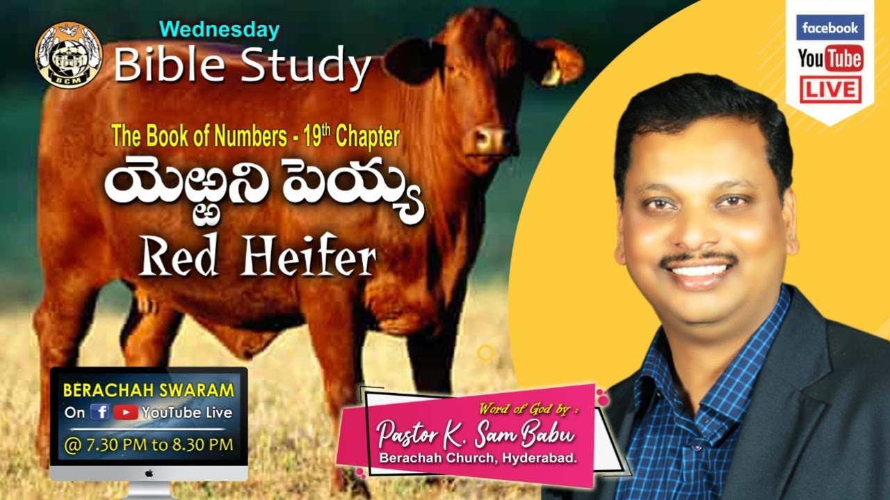 Guarda Yerrani Peyya- Numbers -19 | BIBLE STUDY | Msg By Ps K. SAM BABU | Berachah Swaram Live | 23/09/2020 su YouTube Guarda Yerrani Peyya- Numbers -19 | BIBLE STUDY | Msg By Ps K. SAM BABU | Berachah Swaram Live | 23/09/2020 su YouTube