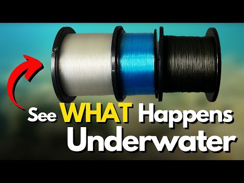 Which Fishing Line is MOST Invisible on the Surface? (Underwater Look) - YouTube Which Fishing Line is MOST Invisible on the Surface? (Underwater Look) - YouTube
