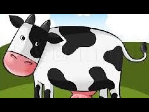 بقرة تنطق بلفظ الجلالة       