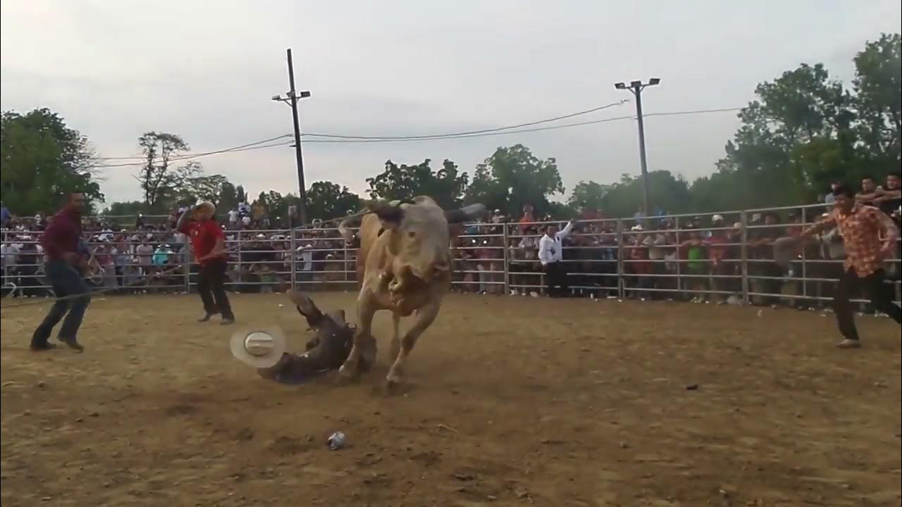 Jaripeo 2014 indianapolis indiana YouTube