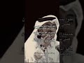 كيك وعسل لكن ماهو في صحون محمد بن فطيس