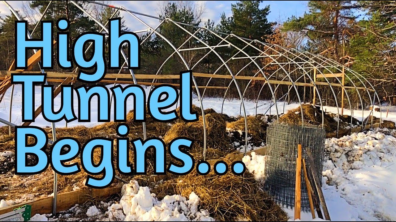 Lawn to Food Forest - 13 - High tunnel building