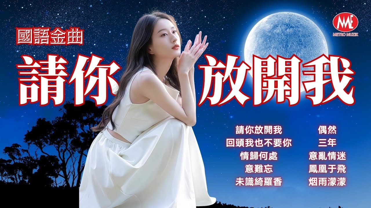 【國語金曲】請你放開我丨回頭我也不要你丨情歸何處丨意難忘丨未識綺羅香丨偶然丨三年丨意亂情迷丨鳳凰于飛丨烟雨濛濛 Mandarin Oldies (歌詞版)
