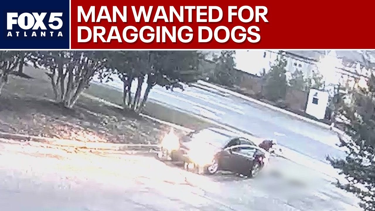 Video catches man dragging dogs behind car | FOX 5 News - YouTube