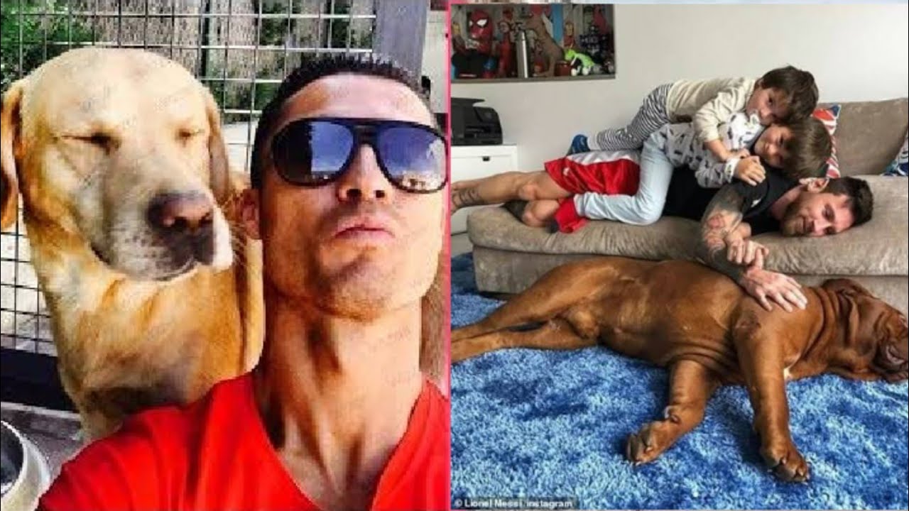 Famous Footballers and their pets / Ronaldo Messi & Ozil - YouTube