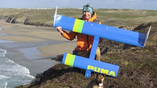 Simple RC Canard Glider. Puma maiden flight in 20mph of wind.