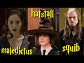 Sagrados 28, hatstall, maledictus, squib ¿qué son? | GLOSARIO DE TÉRMINOS DEL MUNDO DE HARRY POTTER