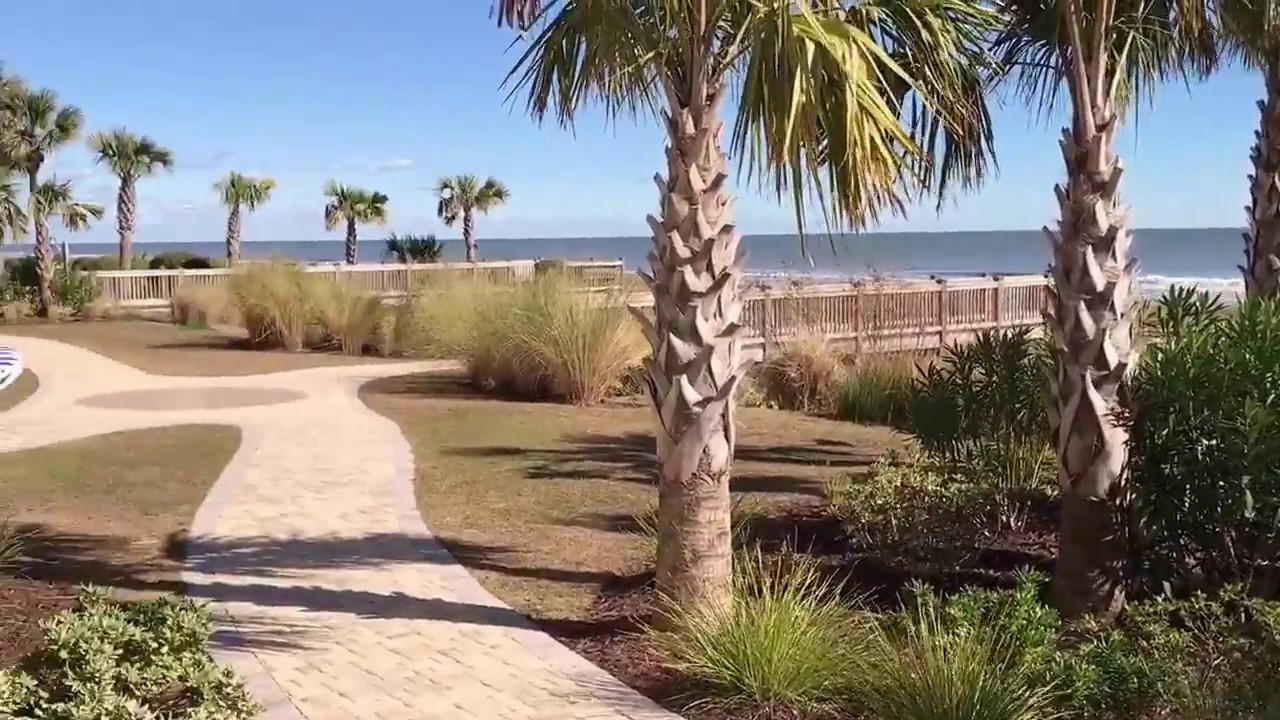 Living In Myrtle Beach You Livinginmyrtlebeach Myrtlebeachlife