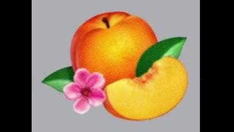 03 Phoenix - SOS IN Bel Air