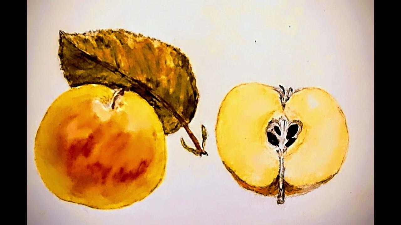 Das Gewissen von Eugen Roth YouTube