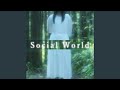 Social World Short Version Social World Short Version