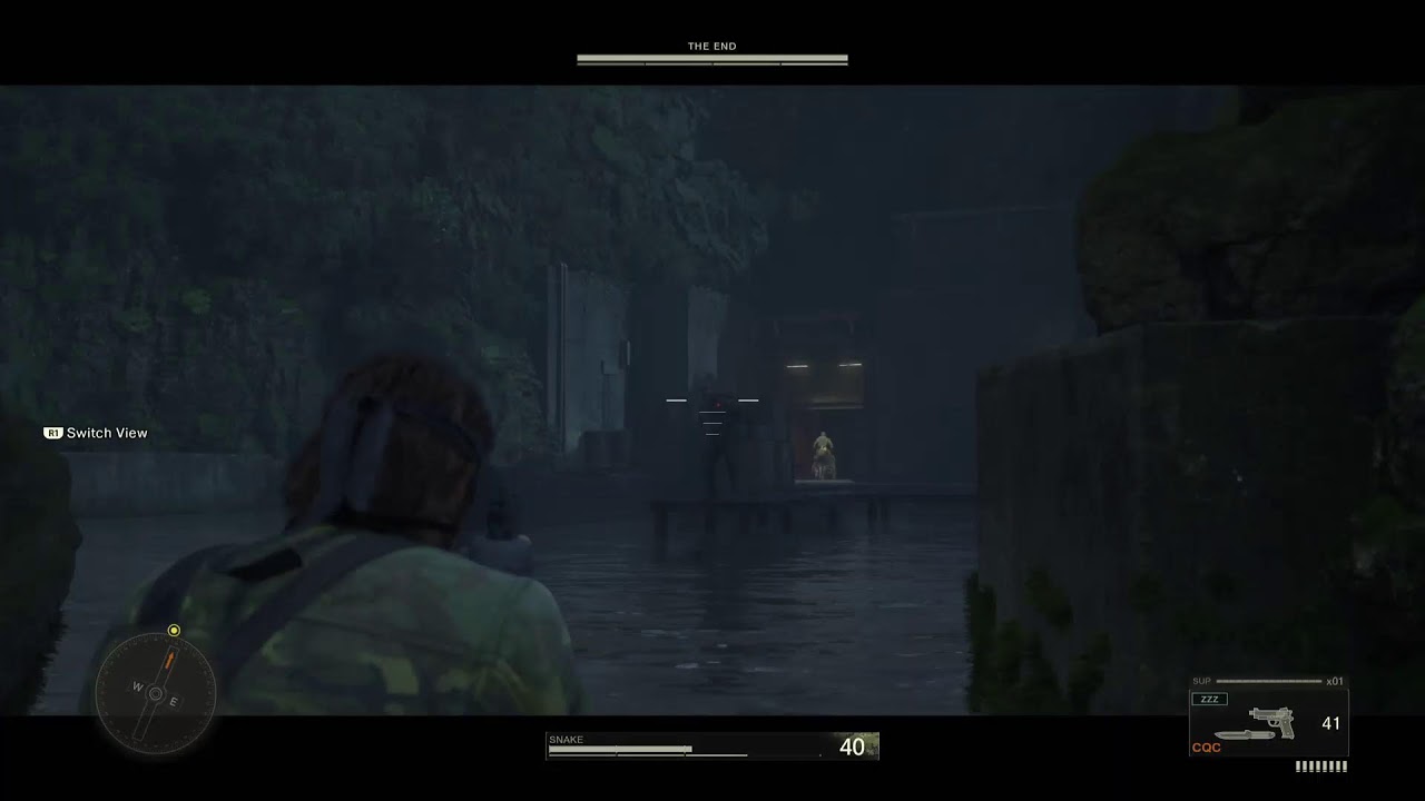 Metal gear snake eater