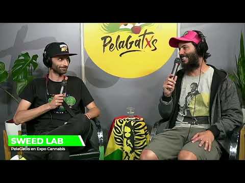 Video: ¿Qué es la aplicación SweetLabs?