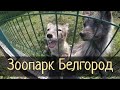 Белгородский Зоопарк. Экзотариум / Субботние Путешествия