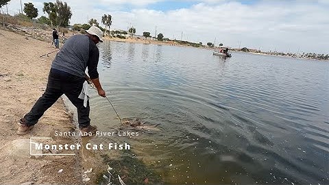 "Monster Catfish Madness at Santa Ana River Lakes! 🎣 June 20, 2025"