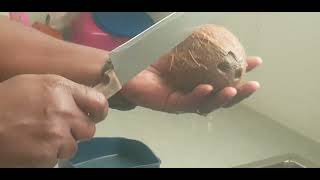 Making sweetbread | Trini things | DIY molasses sweet bread making in Trinidad and Tobago