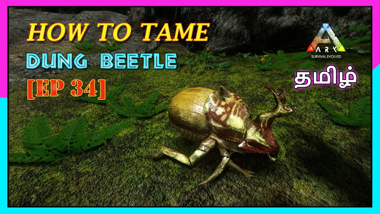 HOW TO TAME DUNG BEETLE | ARK MOBILE | TAME SERIES EP 34 | MR RAPTOR | RAPTORS GAMING.