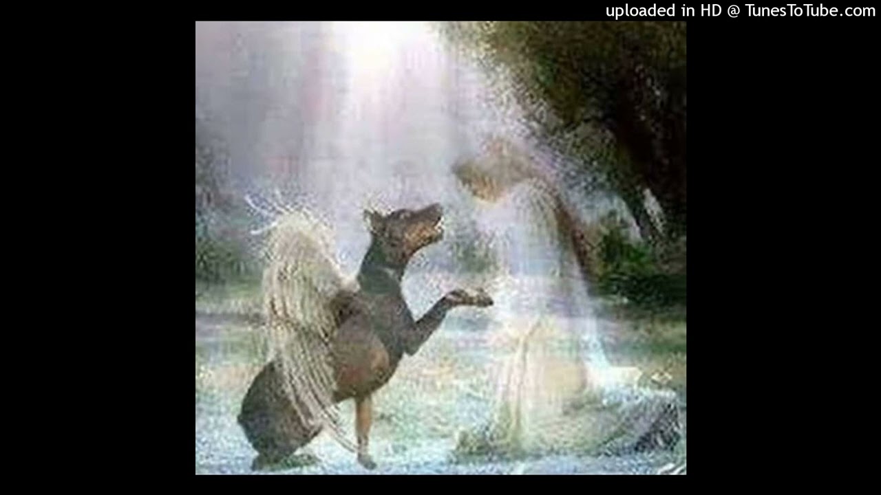 [FREE] Nosgov x SpazzTeam x kiryano x maknae TYPE BEAT (prod. phonky)