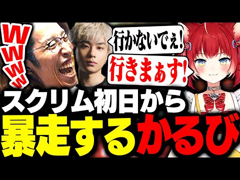 CRカップOW2の顔合わせで暴走する赤見かるびに爆笑するSHAKA【Overwatch2】