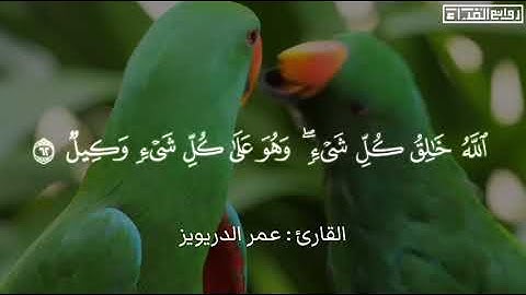 بالمقام العراقي✨ ~ ( الله خالق كل شي وهو على كل شيء قدير) القارئ : عمر الدريويز
