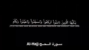 القارئ عبدالرحمن مسعد- {يا ايها الذين امنوا اركعوا واسجدوا واعبدوا ربكم وافعلوا الخير لعلكم تفلحون}